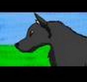 JayWolfFire