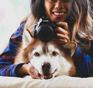 Meeler Husky