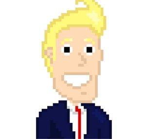 Pixel Politiker