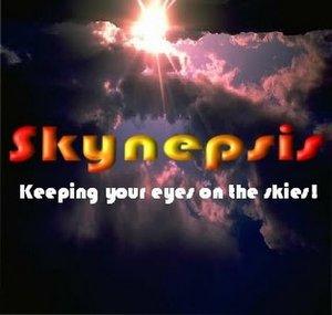 Skynepsis