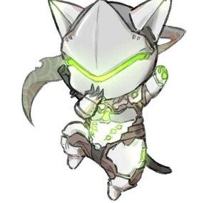 tacgnollongcat