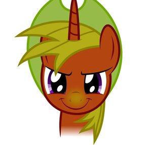 TheDoctor Team | My Little Pony Russia