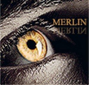 TheGreatMerlinFamily