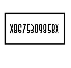 x8675309858x