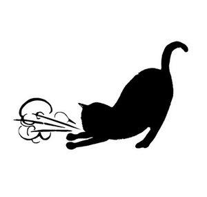 Asthmatic Kitty Records
