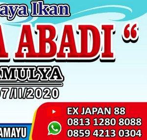 EX JAPAN 88