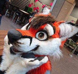 FoxyMarty