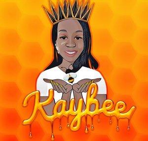 KayBee 211