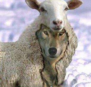 lambdog76