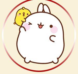 Molang 日本語