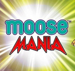 Moose Mania