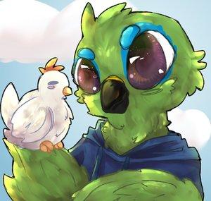 NerdieBirdie