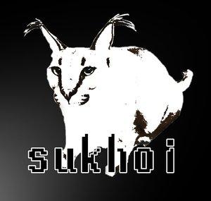 sukhoi / shitpost
