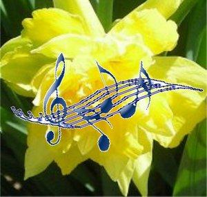 AwakeningBridgeMusic