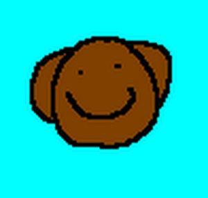 Bigg Monki
