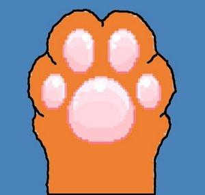 Cat Ponchik