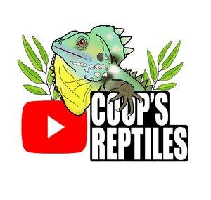Coop's Reptiles