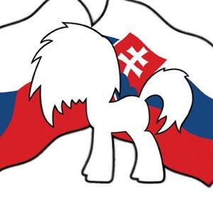 CZ/SK Bronies