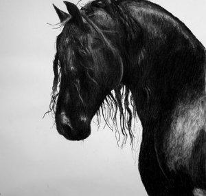 DegixHorse