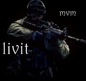 livitmvm
