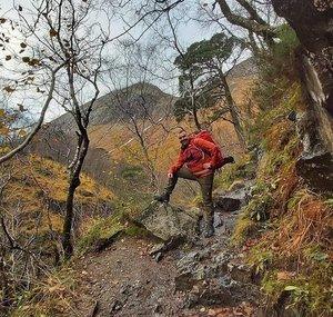 Scottish Wanderer