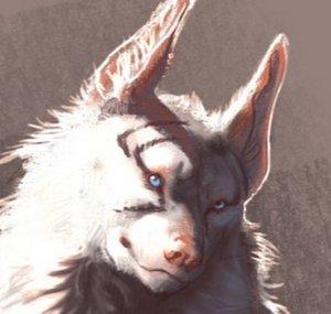 The Wolf People