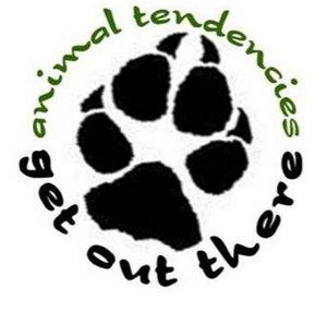 animal tendencies