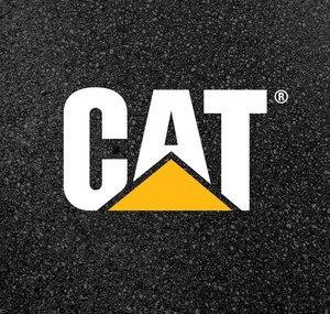 Cat Paving