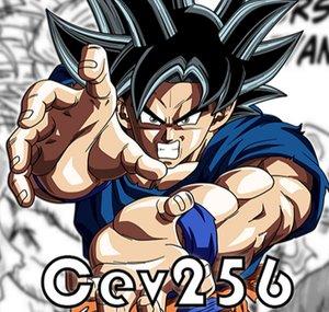 CEV256
