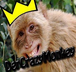 DerCrazyMonkey