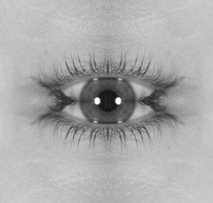 MagneticBackmask