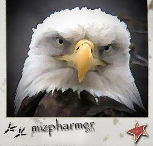 mizpharmer