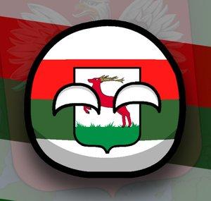 PolishTortoise
