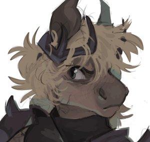 ScribbleWoof
