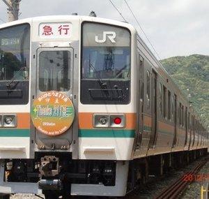 shonanshinjukulin233