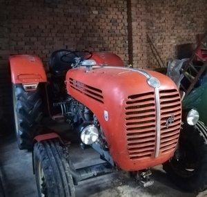 Didi´s Oldtimer Vlog 