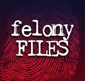 Felony Files
