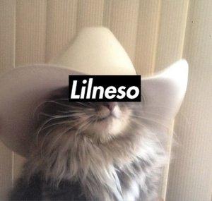 Lilneso