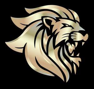 LION OF FIRE MINISTRIES