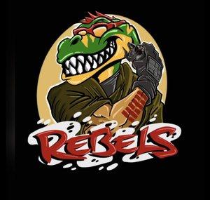 Rebels, Reptiles and Games