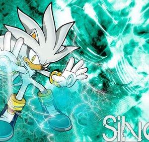 Silverdude500
