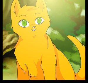 SSS Warrior Cats