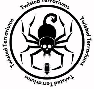 Twisted Terrariums