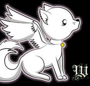 wolbe0987