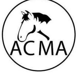 ACMA - Ayuda a Caballos Maltratados
