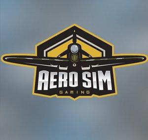 Aero Sim Gaming