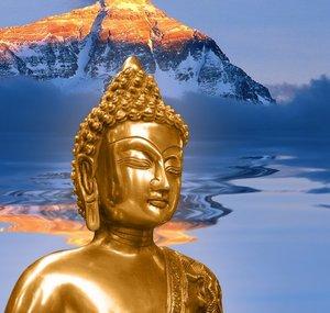 Bright Enlightenment