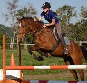 horsey6098
