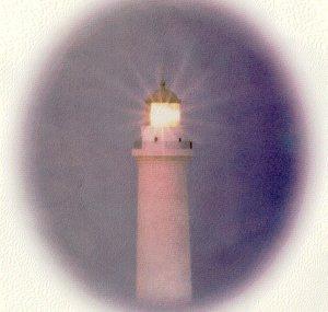 Lamprospoeta