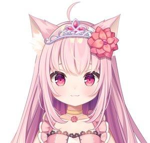 NekoHimeLotus